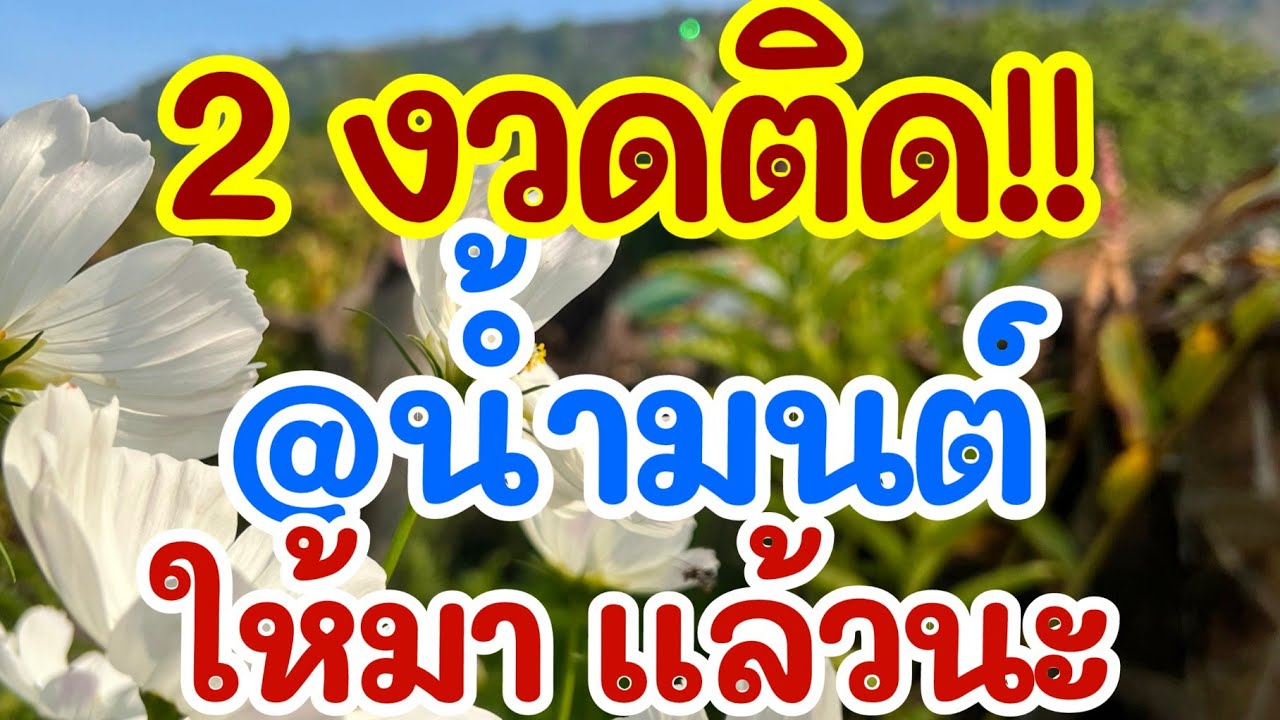 ด่วนๆ 2 งวดติด แอดน้ำมนต์ ให้มาแล้วนะ 1 เม.ย. 69 [EP.5]