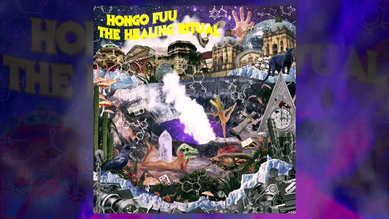 Hongo Fuu - 