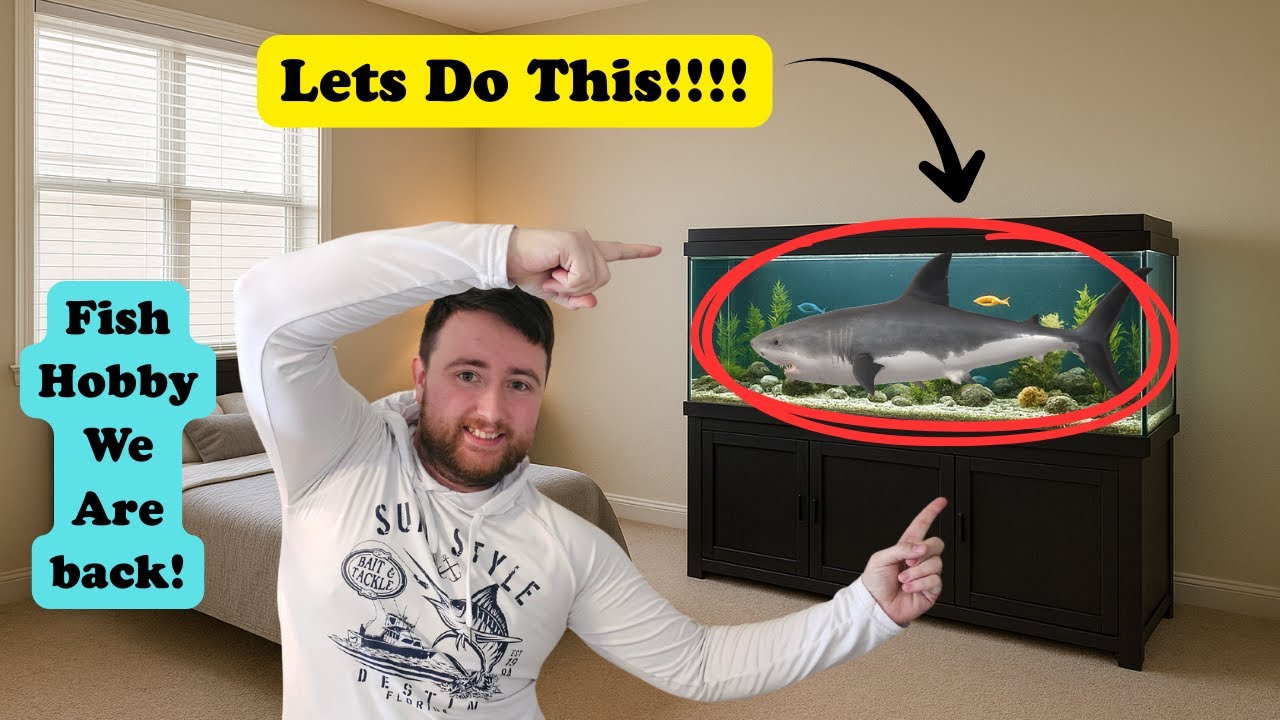 Replacing a Fish Tank Stand and Setting Everything Back Up