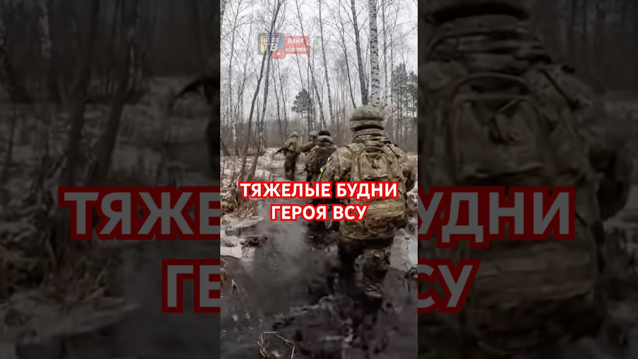 ⚡️Тяжелые будни Героев ВСУ! Спасибо Титаны!