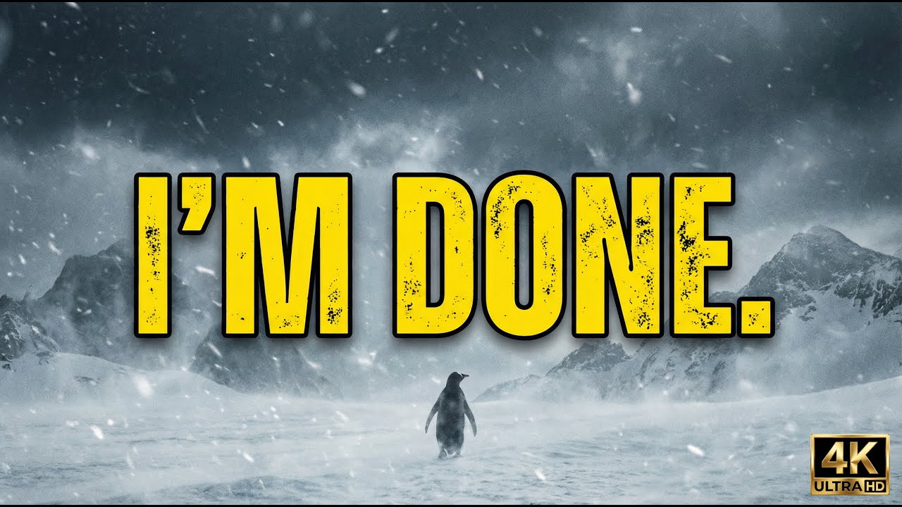 POV I'm Done | Nihilist Penguin 2026 Loop & Lofi Beats 4K #nihilistpenguin