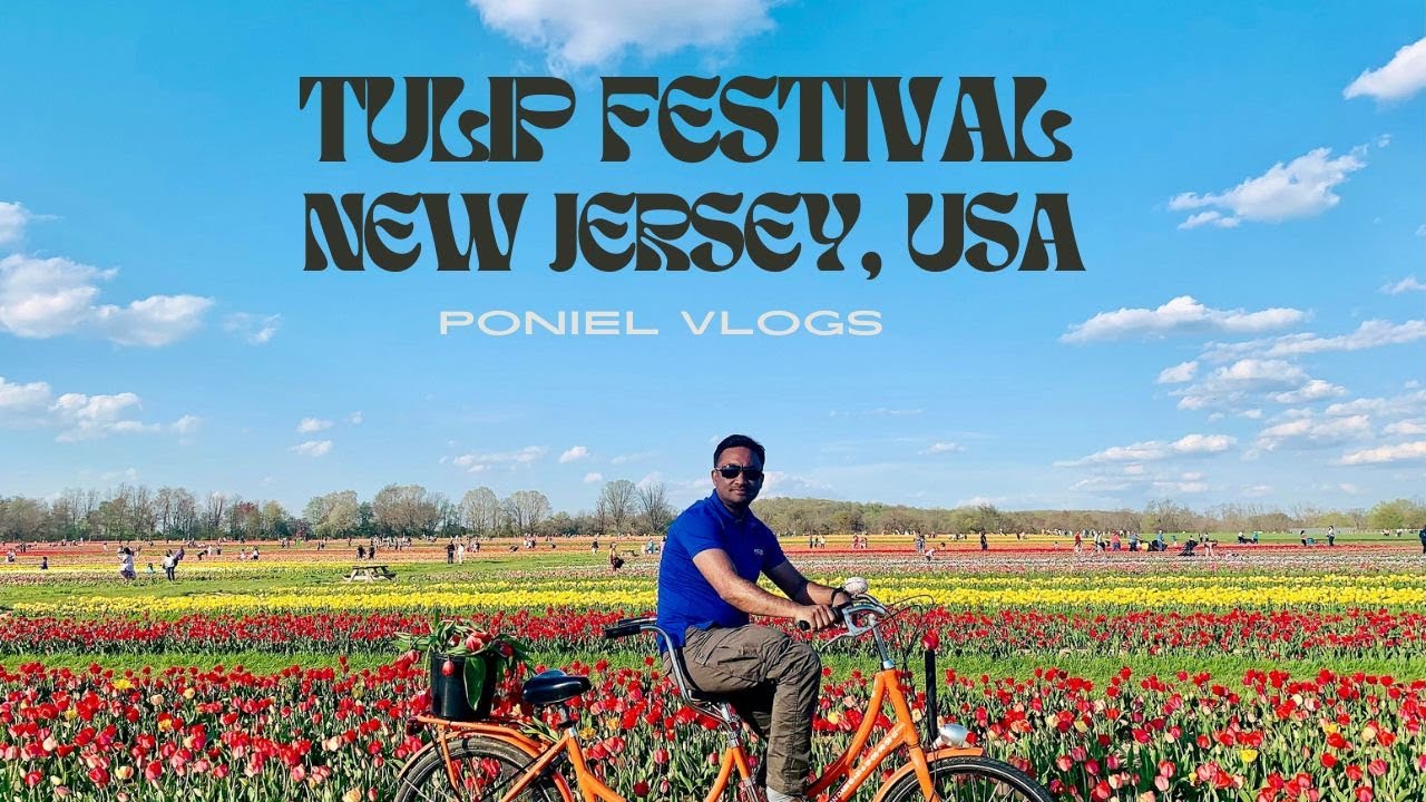 Tulip Festival in USA- আমেরিকাতে  টিউলিপ ফুল উৎসব