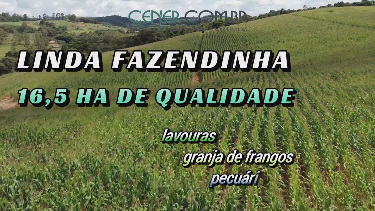 Cod 2889 Linda fazendinha de 16,5 ha com lavouras e granja de frango por 950 mil Cener Imóveis