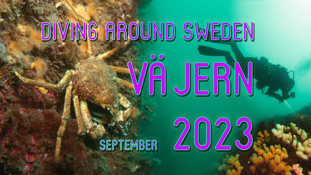 Diving Around Sweden VÄJERN 2023