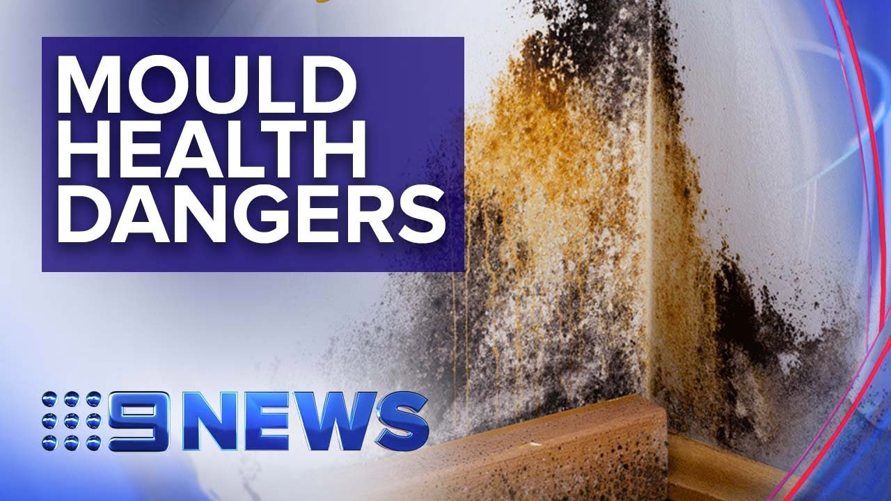 How mould in your home can damage your health | Nine News Australia