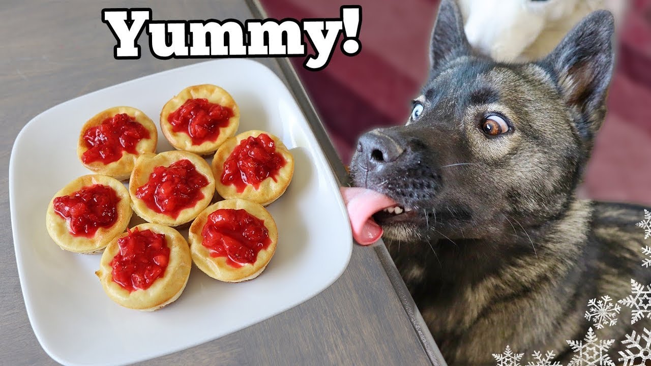 Клубничный чизкейк для собак 🍓 Лакомства для собак своими руками