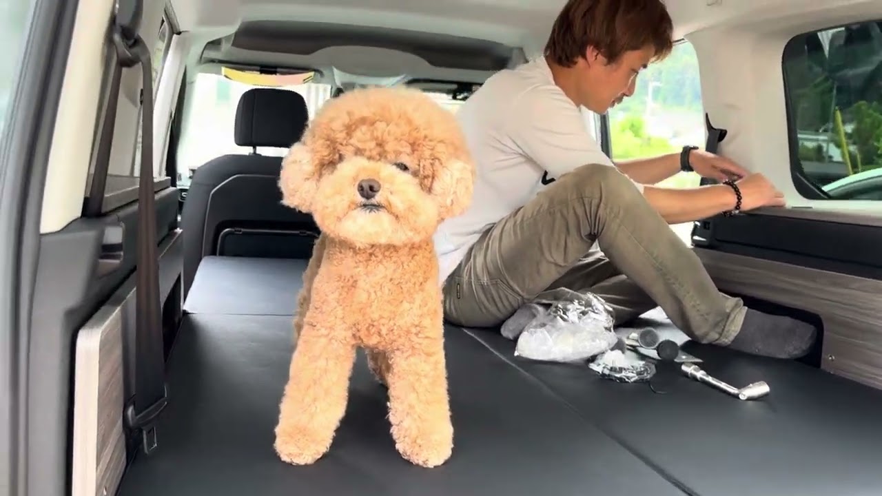 テーブルキットも取付けてみた、愛犬もまったりお気に入り⭐︎