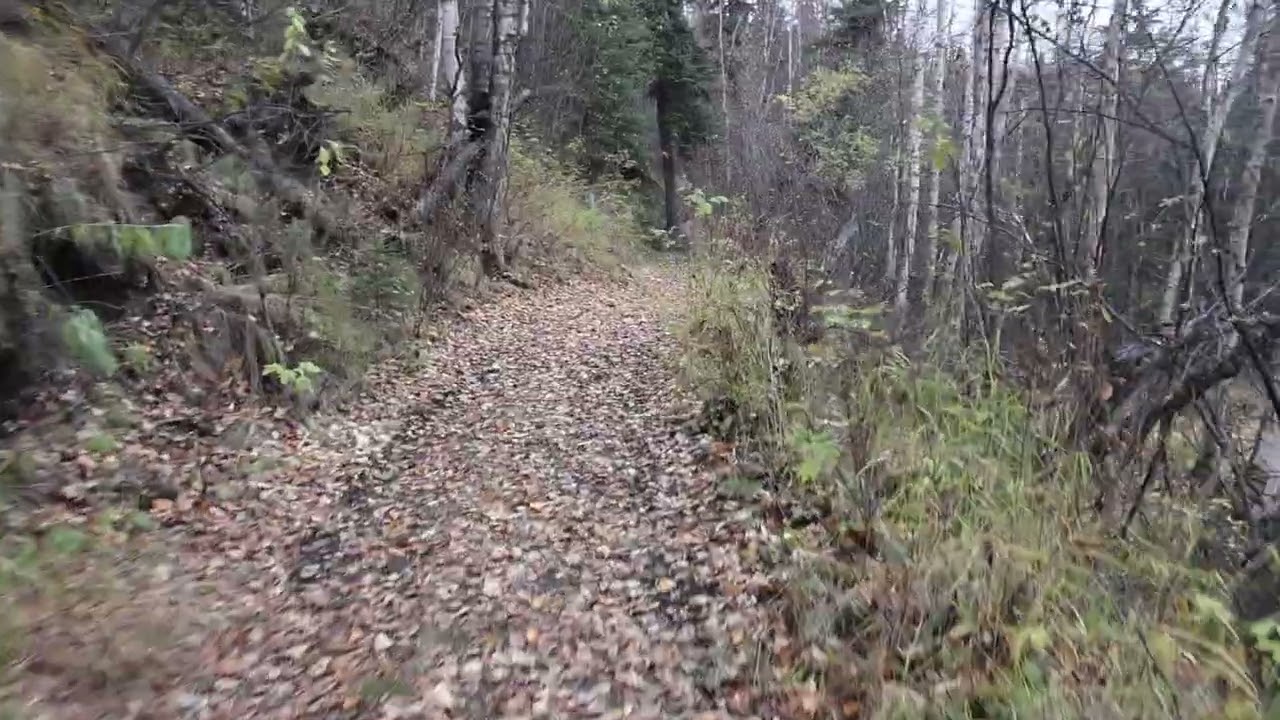 What is left of the Public Use Cabins at Quartz Lake Alaska