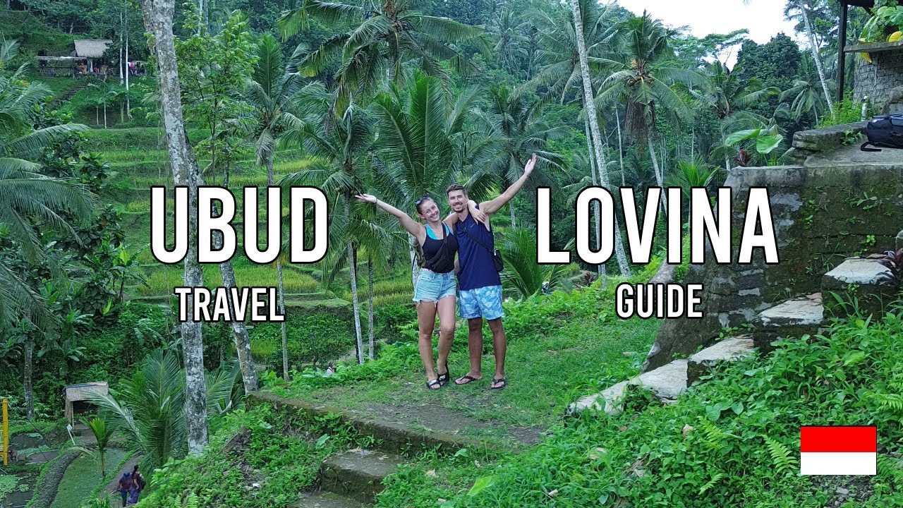 Swimming with Dolphins | Ubud & Lovina, Bali | Travel Guide