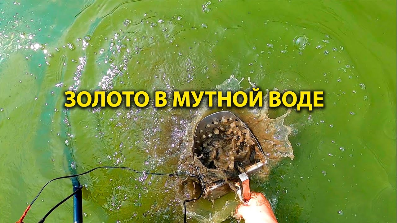 Золото в мутной воде. Поиск ювелирки на купальном месте.