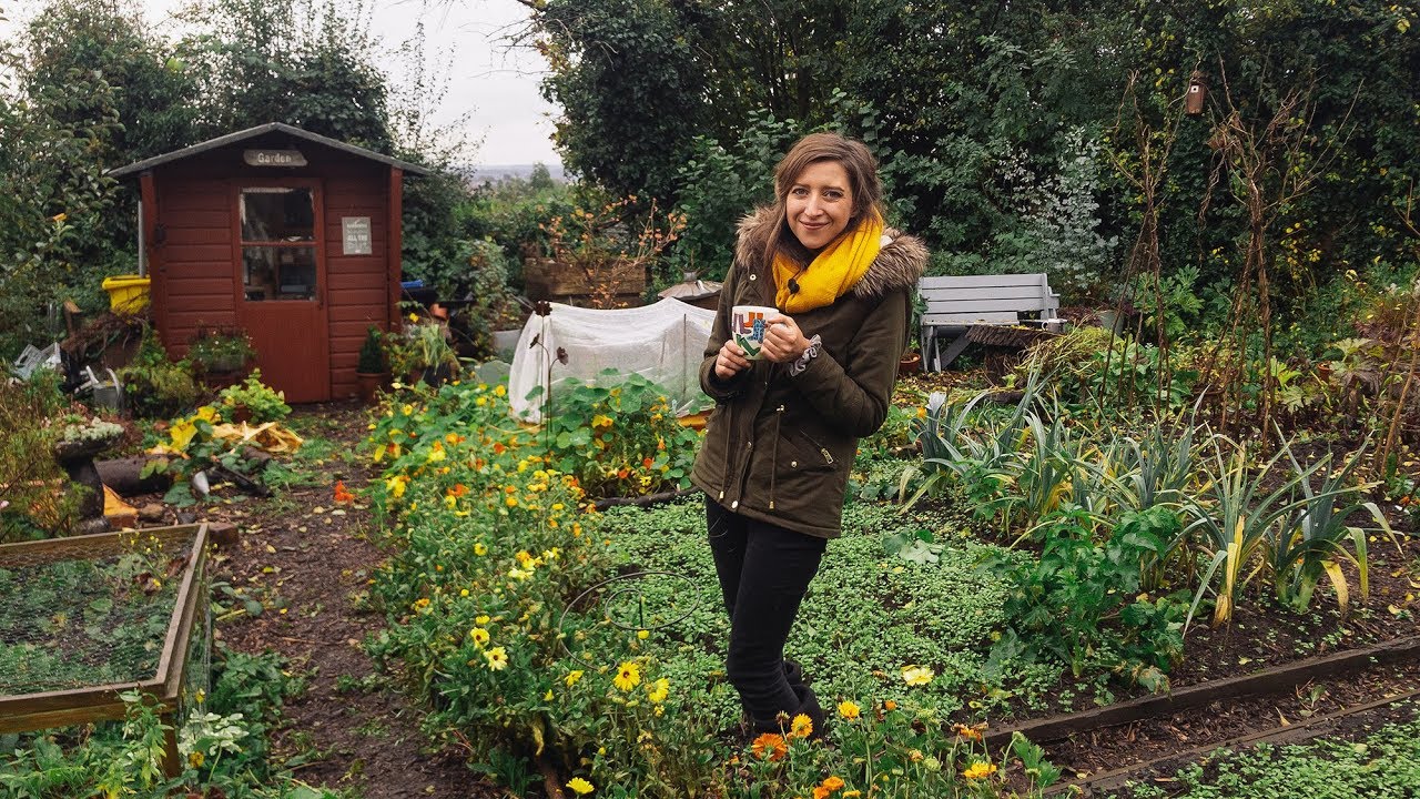 October Vlog & Allotment Garden Tour 2019 / Homegrown Garden