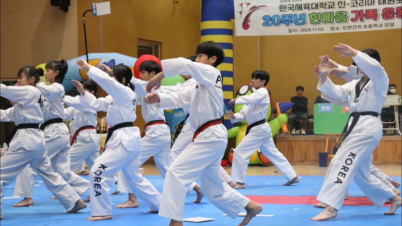 신코리아 20주년 한마음 가족 운동회 시범 [ASURA 태권도 시범단]