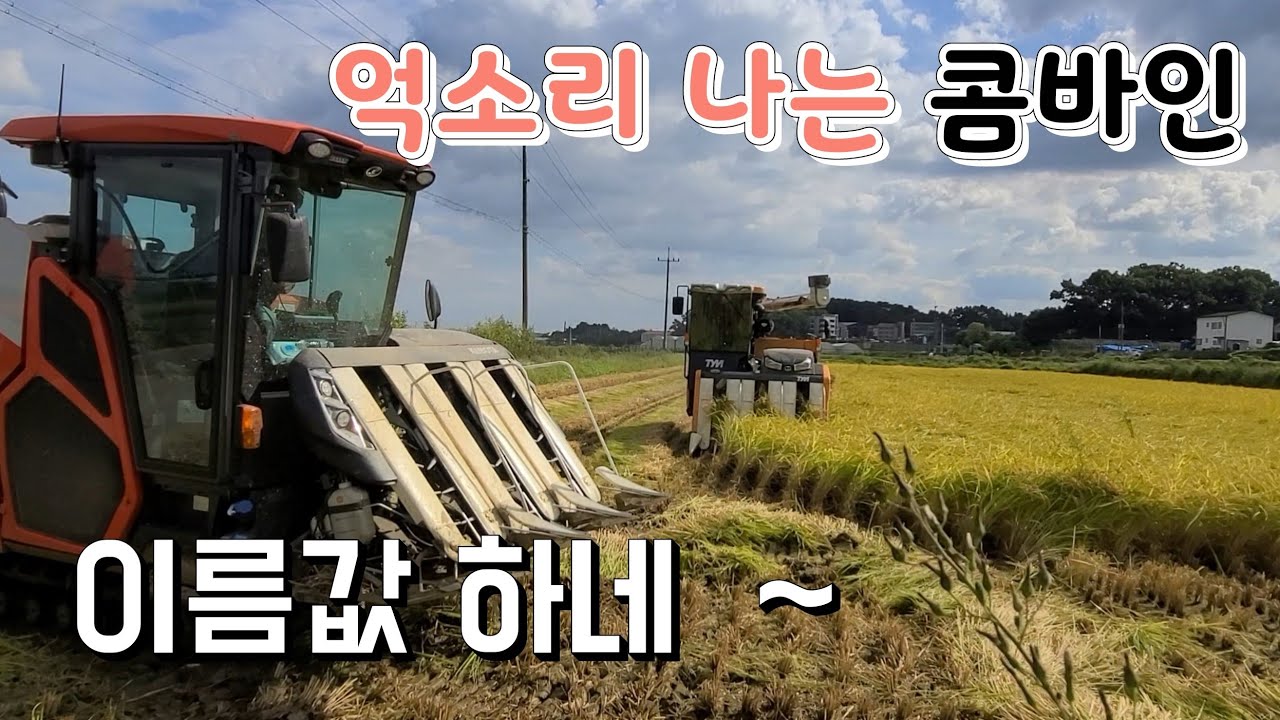 억소리 나는 콤바인 이름값 하네 ~머리 깍는 것보다도 쉽다