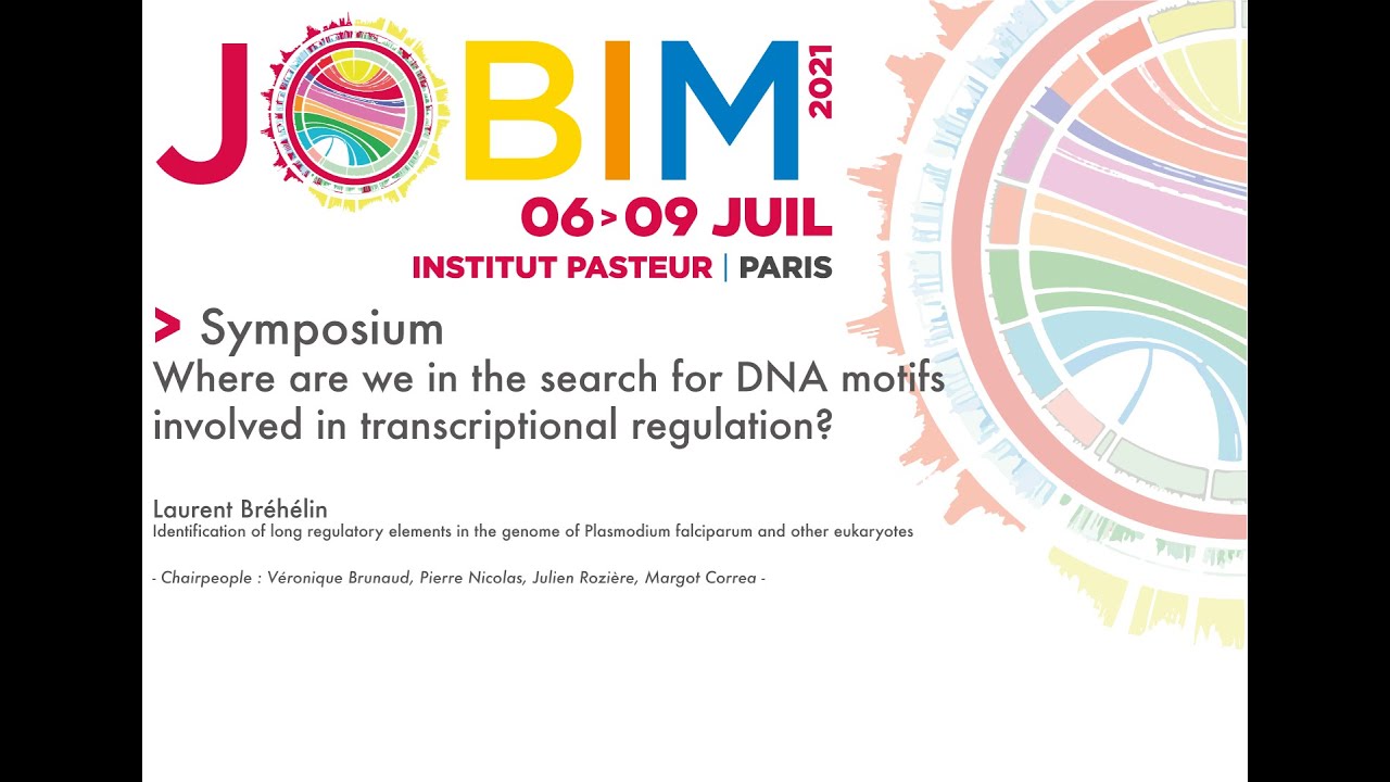 JOBIM2021 - Symposium DNA motifs - Laurent Br&eacute;h&eacute;lin