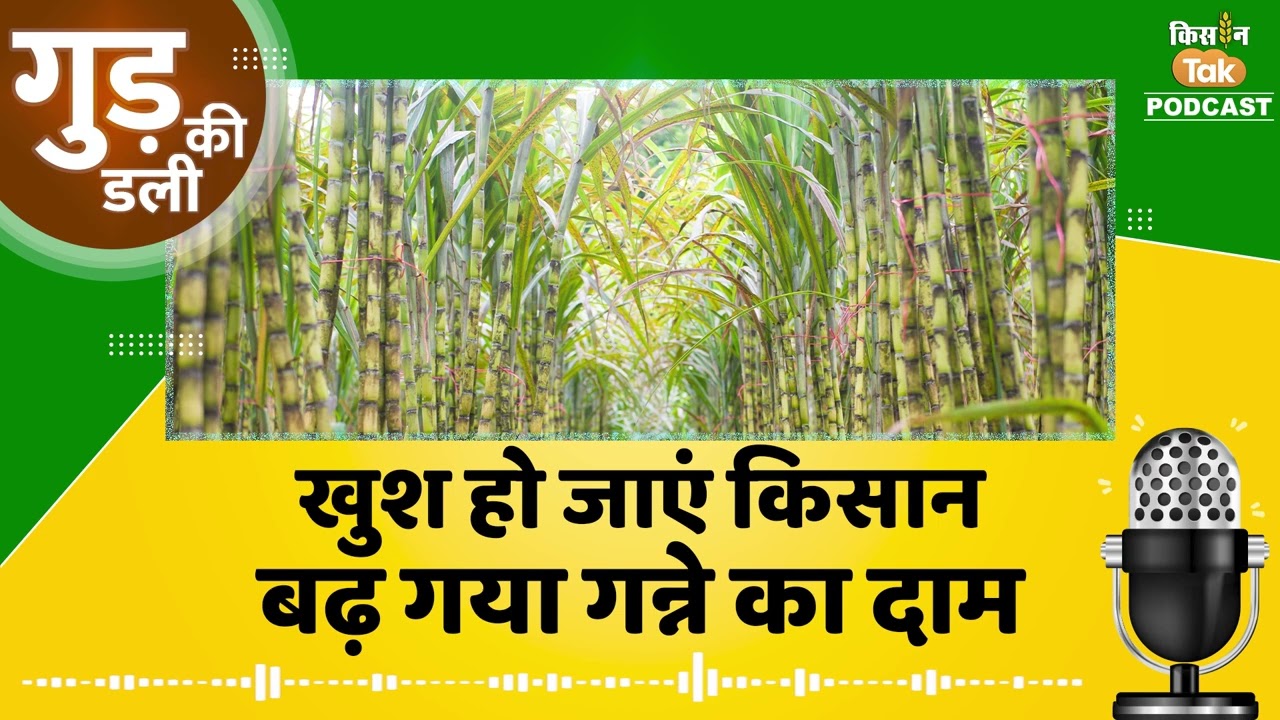 Sugarcane Price: हर‍ियाणा के क‍िसानों को बड़ा तोहफा, गन्ने के दाम का डबल धमाका | Podcast | Kisan Tak