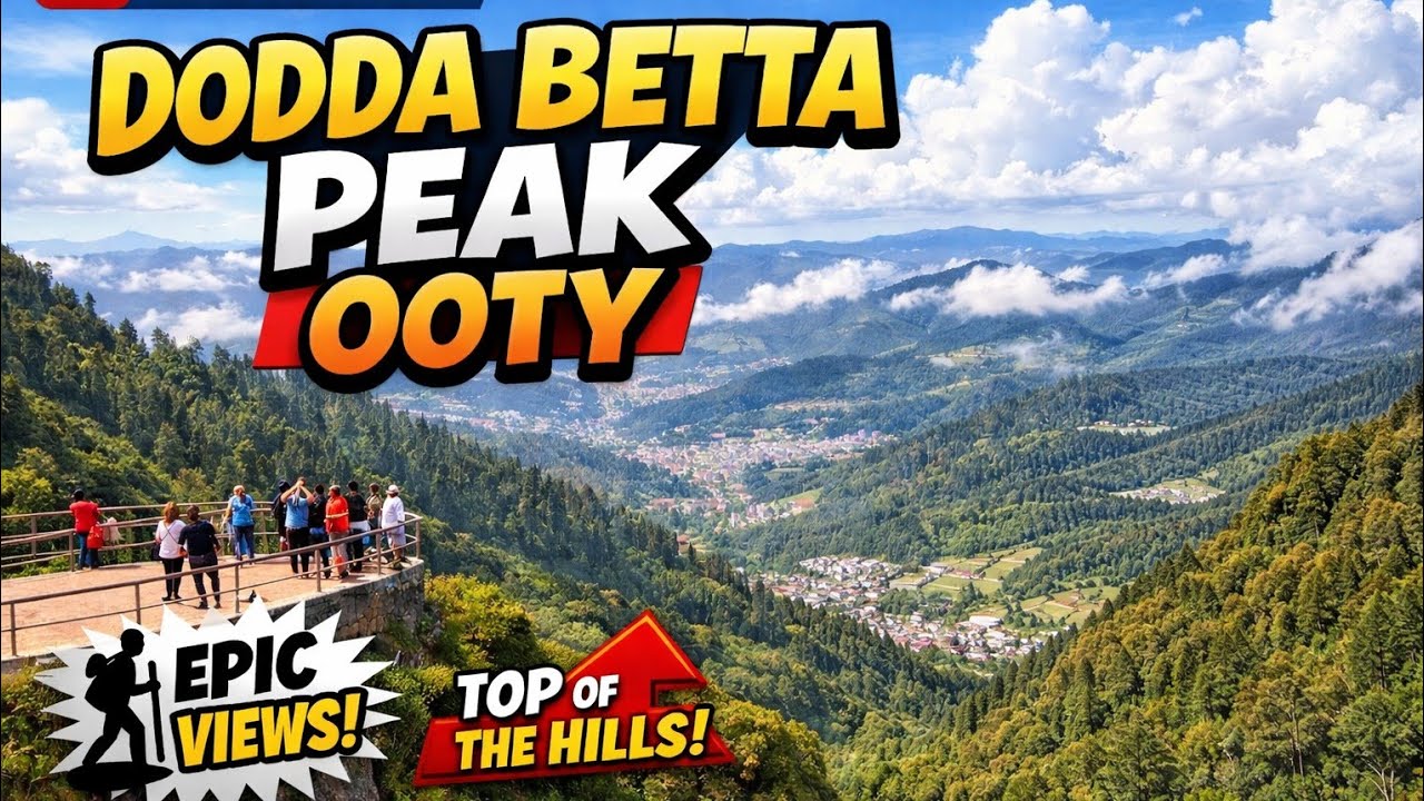 🥰 Dodda Beta Peak Ooty 🔥उटी की सबसे उॅंची जंगह! DoddaBetta 💥#trending #ootytrip #ooty #Nilgiri #tea
