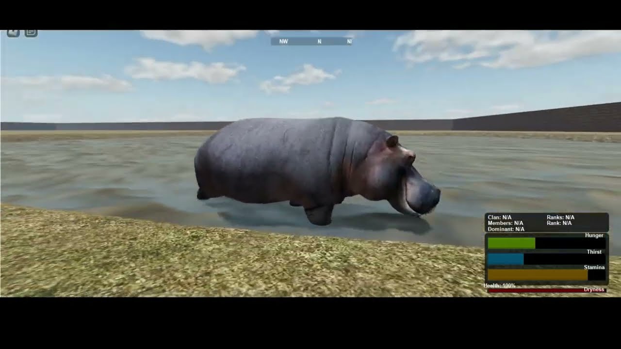 Croc vs Hippo Swim Test