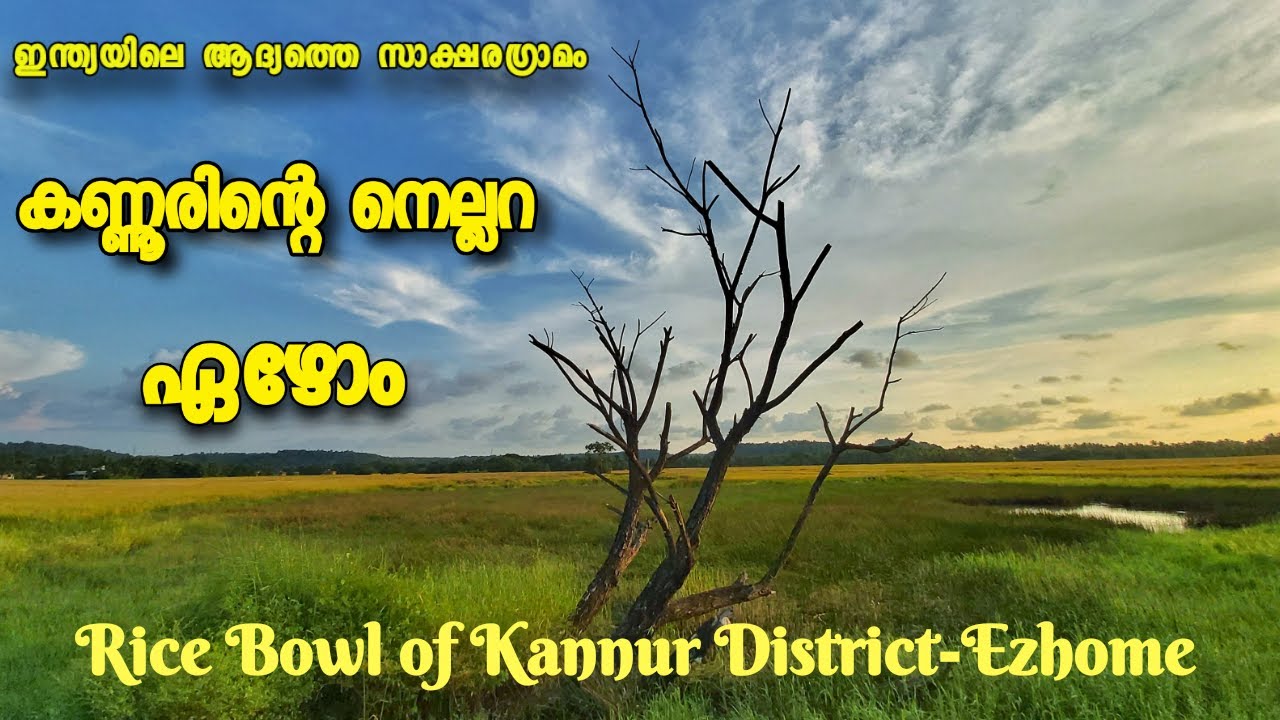 Ezhome/the rice bowl of kannur District/ഏഴോം -കണ്ണൂരിന്റെ നെല്ലറ/history toks
