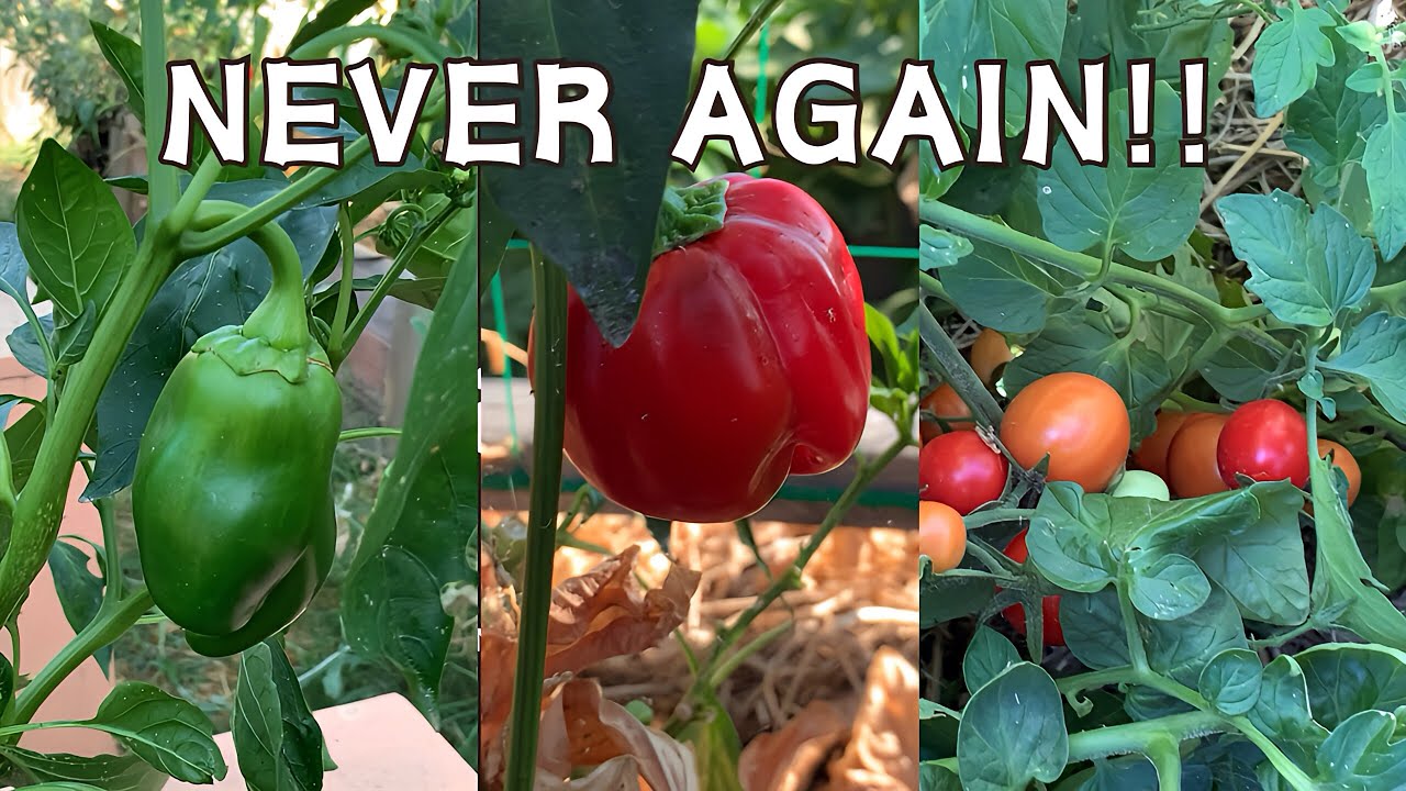 5 Veggies I’ll Never Grow Again (and three I will)