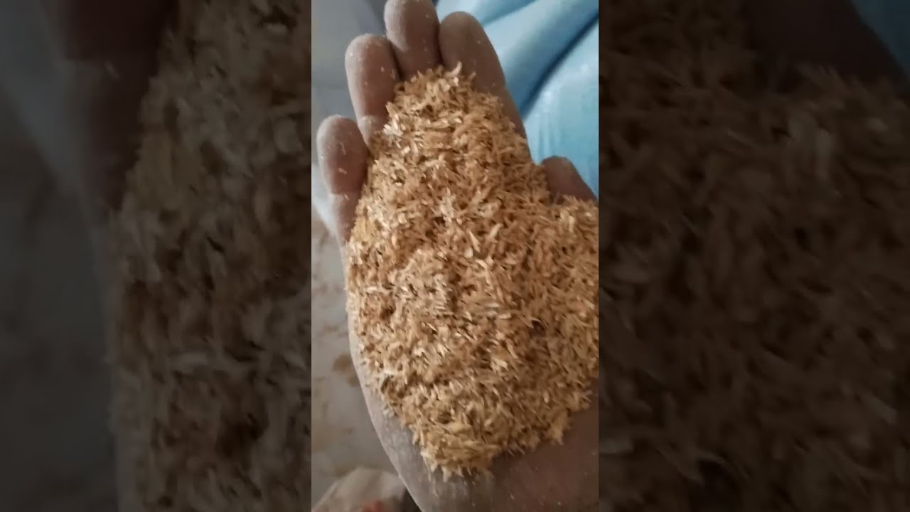 غربال شعير