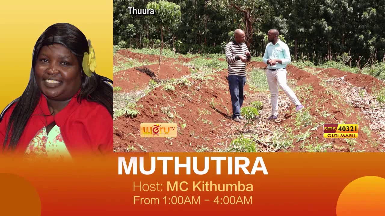 MURIMI CARURUKU-COFFEE PART 1
