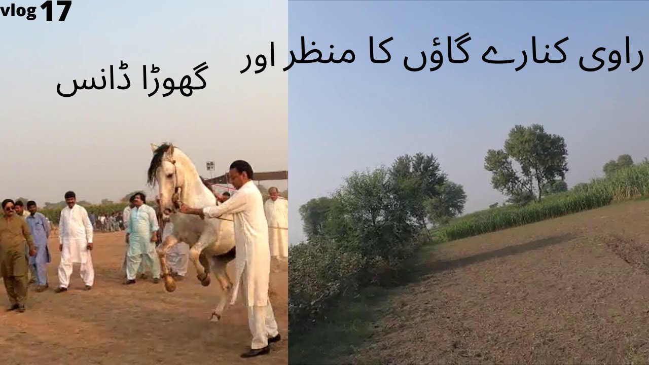 Punjabi Village Mela | Horse Dance | Local Culture | Pakistan | Yazdan TV