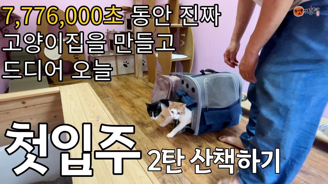 첫입주 그 이후의 이야기 입니다. (첫입주2탄)