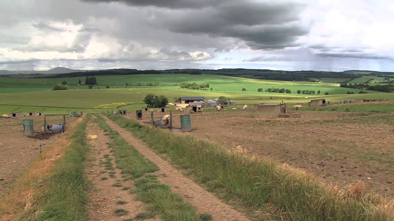 Showreel Pieter de Beyer - Camjo & Cameraman