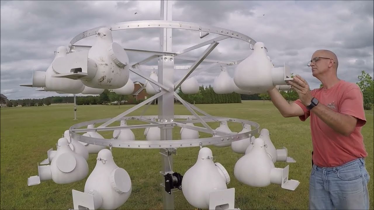 Purple martin houses with winchable poles