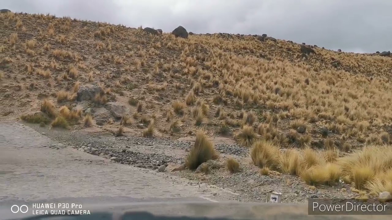 Rutas de Puquio a Andamarca