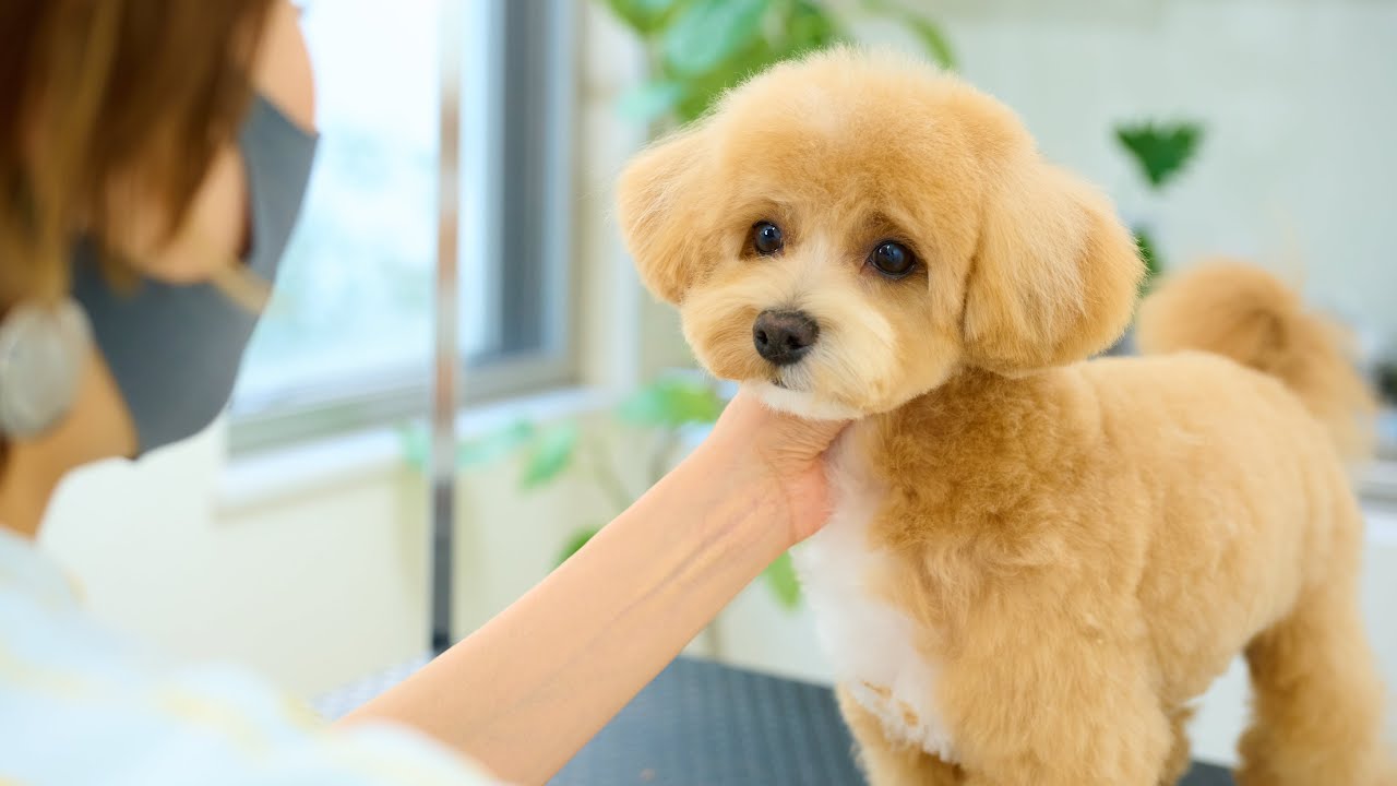 ぬいぐるみのような赤ちゃんです！