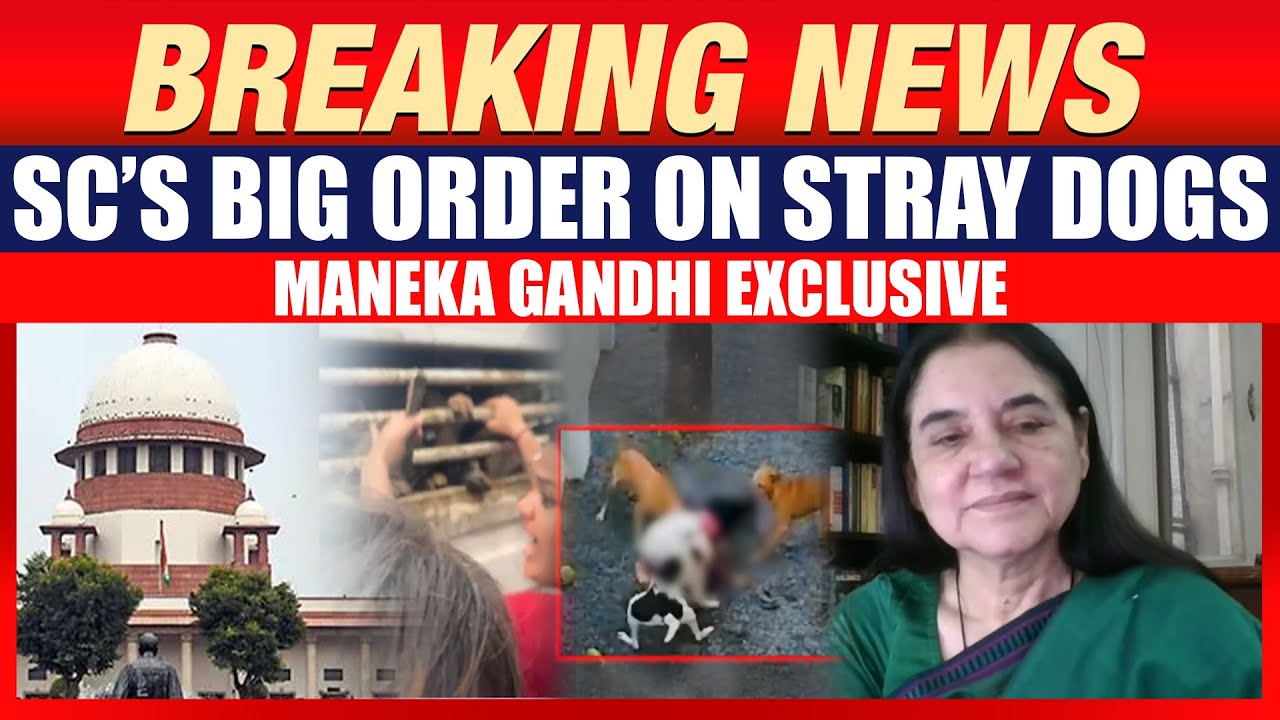 BREAKING: SC&rsquo;s Big Order on Stray Dogs |Sterlization, Sheltering & Fencing | Maneka Gandhi Exclusive