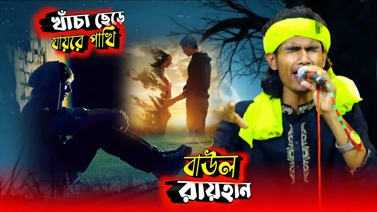 খাচা ছেড়ে যায়রে পাখি অচেনা কোন দেশে। বাউল রায়হান