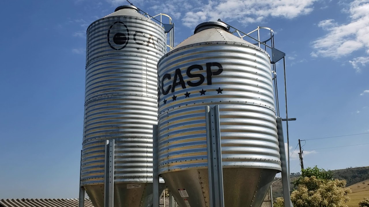 Minha rotina na roça |quais as vantagens de armazenar  a ração no silo +mostrando os bezerros