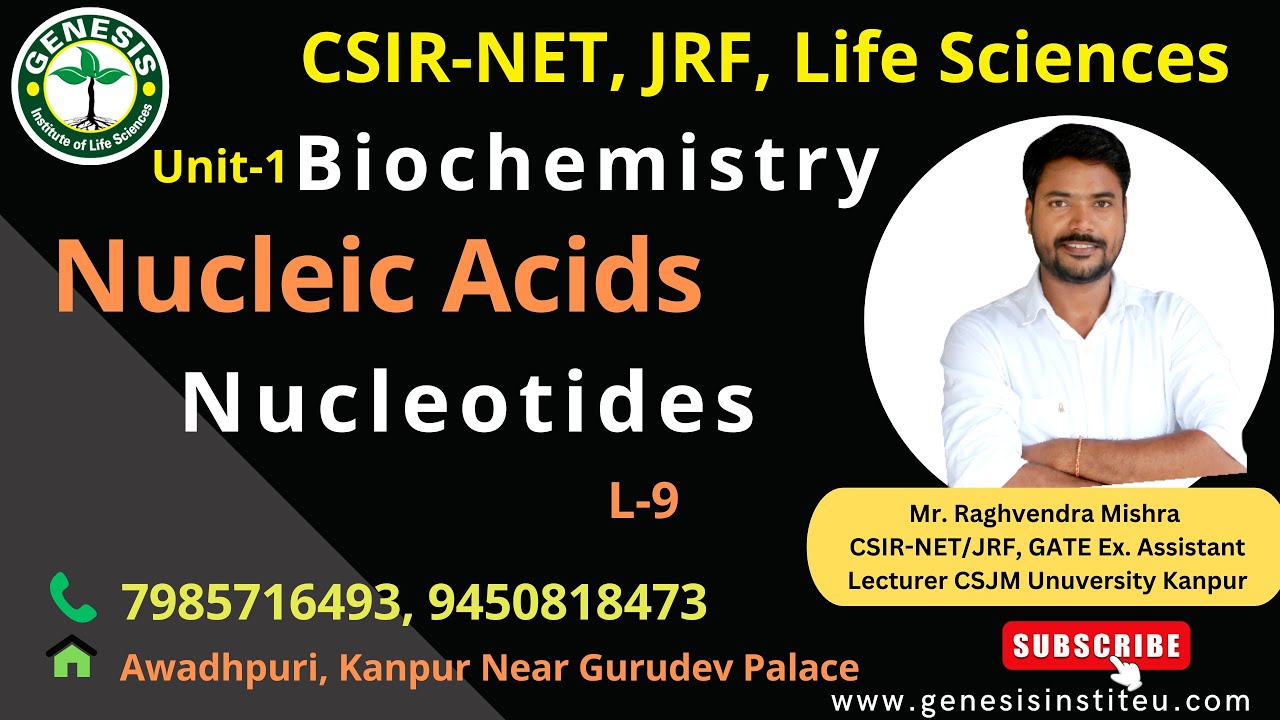 Nucleosides | Nucleotides | Nucleic Acids | Biochemistry#genesis_institute