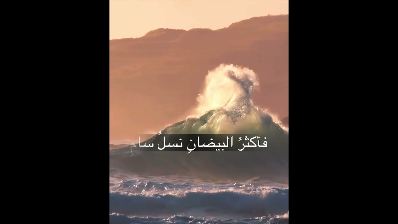 نوح و هود و صالح عليهم السلام .. الأرجوزة المحبرة في التاريخ