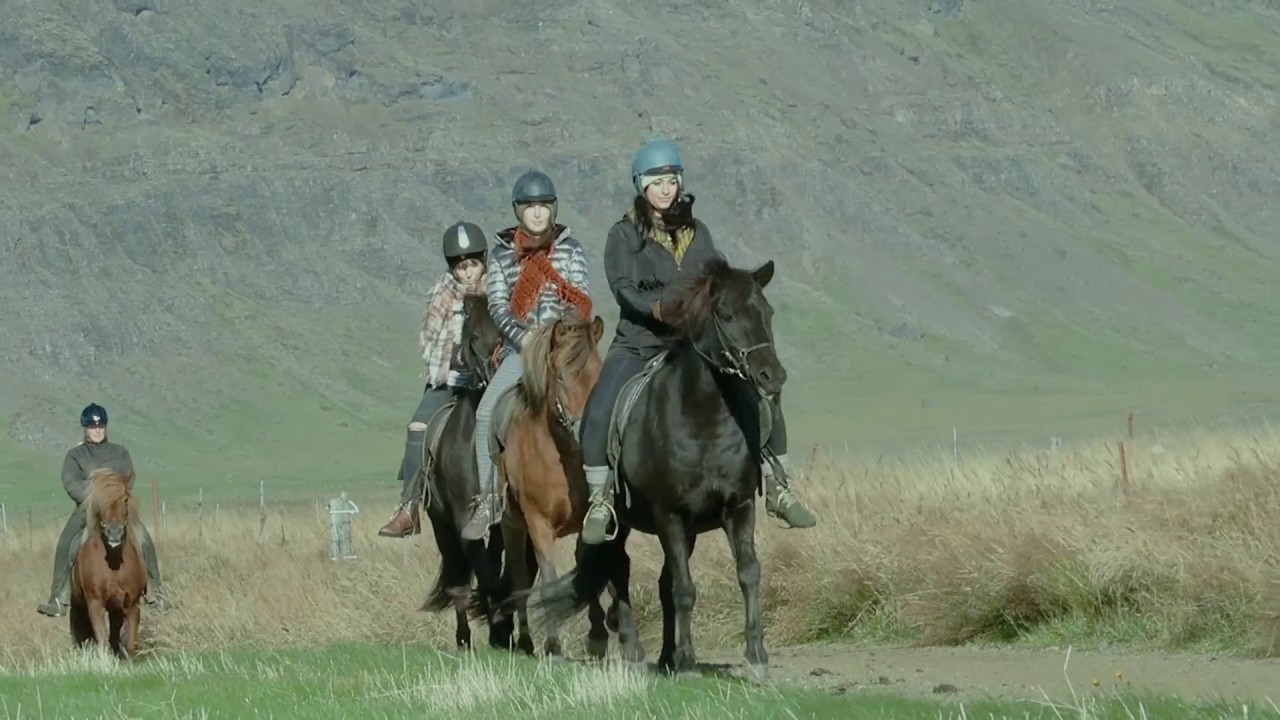Introduction Eldhestar Riding Tours in Iceland