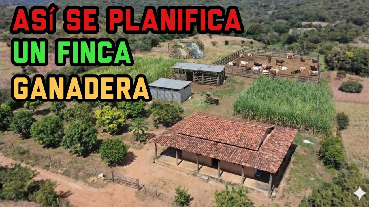 Así se Ve un Proyecto Ganadero Bien Hecho: Pastos, Agua y Carga Animal Paso a Paso