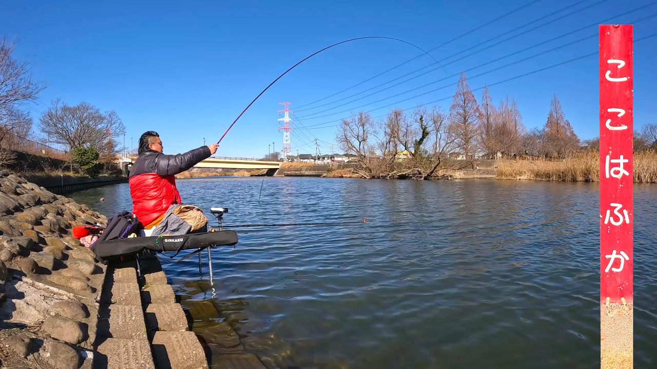 Ветер настолько сильный, что я не знаю, когда смогу ловить рыбу! ржу не могу
