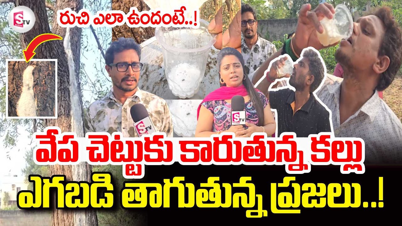 Toddy Water From Neem Tree | వేప చెట్టుకు కారుతున్న కల్లు | Viral Video In Kakinada