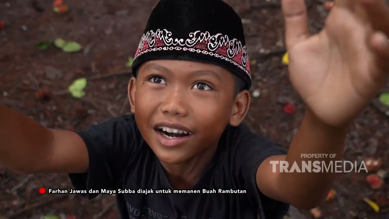 Farhan Jawas Dan Maya Subba Diajak Untuk Memanen Buah Rambutan - TANAH AIR BETA (19/1/25) P3