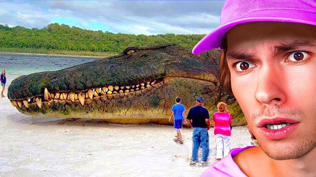 Les Animaux les plus RARES du MONDE !