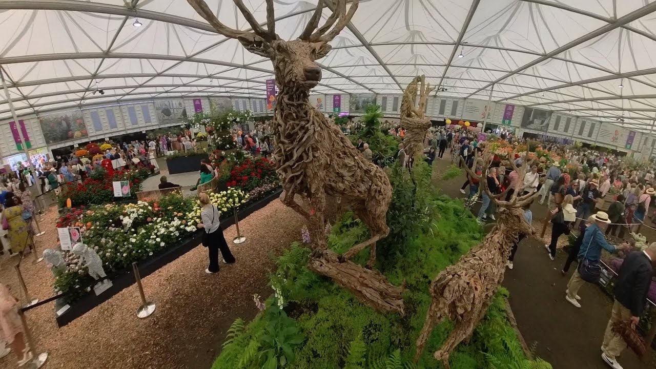 RHS Chelsea Flower Show 2024