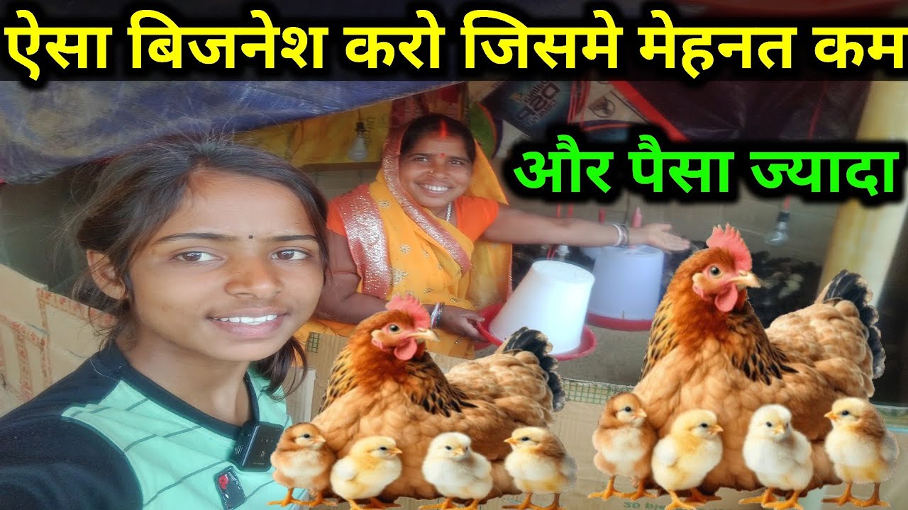 ऐसा बिजनेश करो जिसमे मेहनत कम और पैसा ज्यादा#minaparajapatiofficial#sonalimurgipalan#farmingvideos