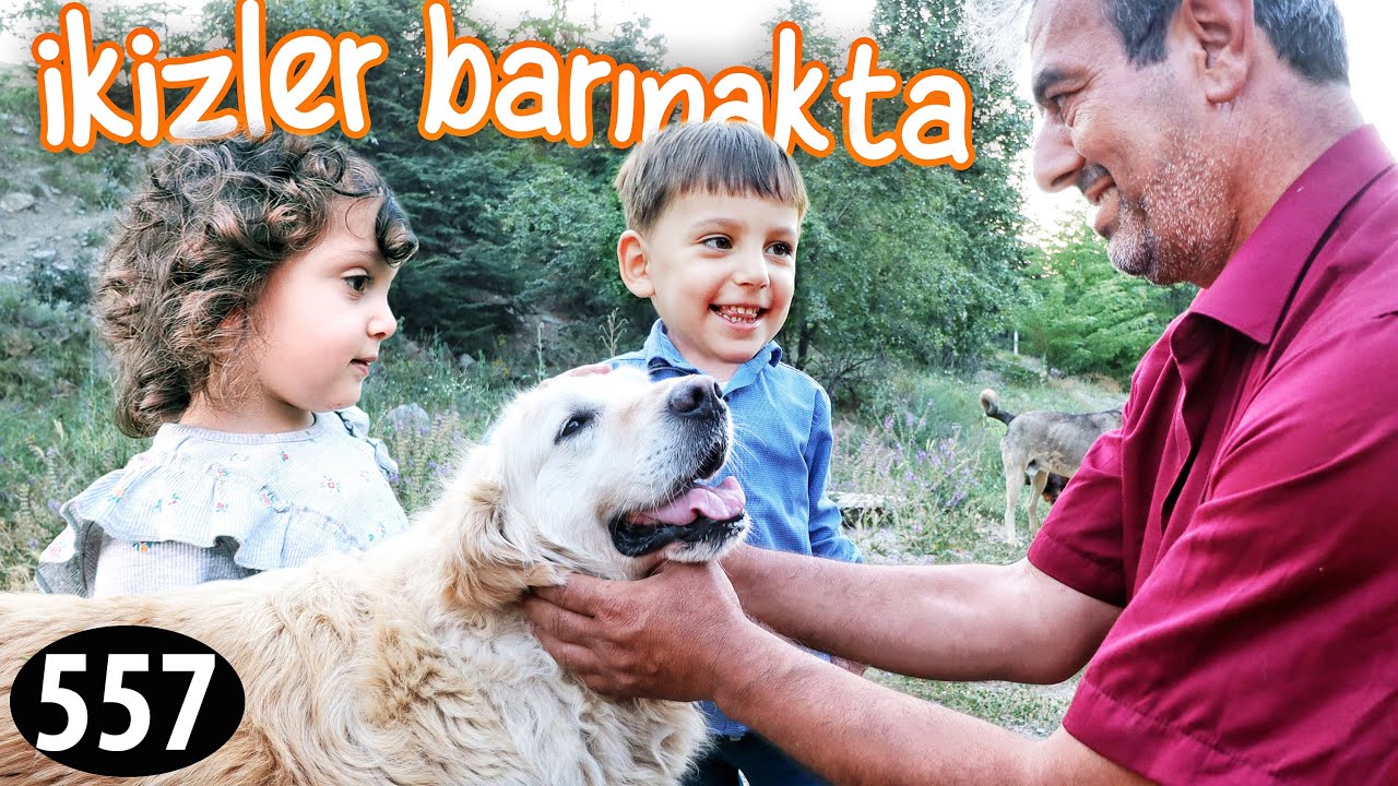 GÜLMEDEN İZLEYEMEZSİNİZ 😂 (Pamuk gibi olmayana zaman iadesi 😆) Sokakta Kalanlar Derneği