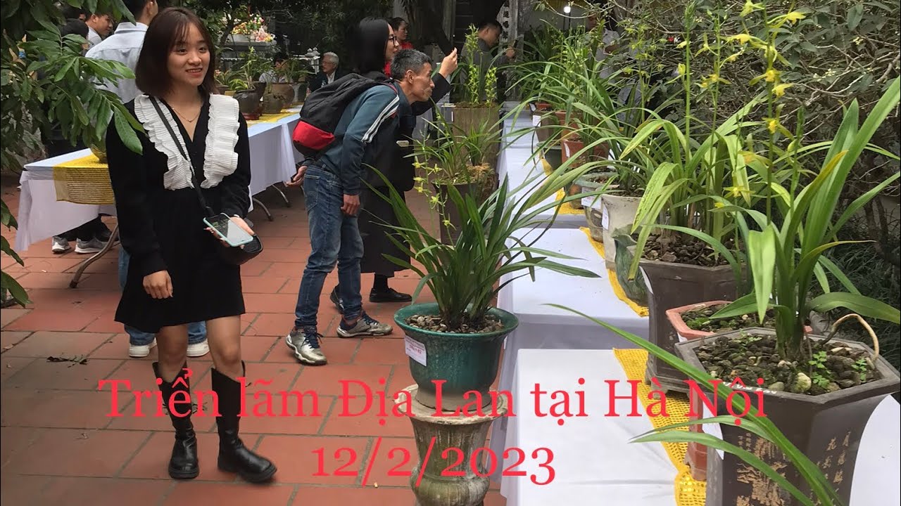 Triển lãm Địa Lan tại  chùa Vạn Phúc  Hà Đông Hà Nội 2023