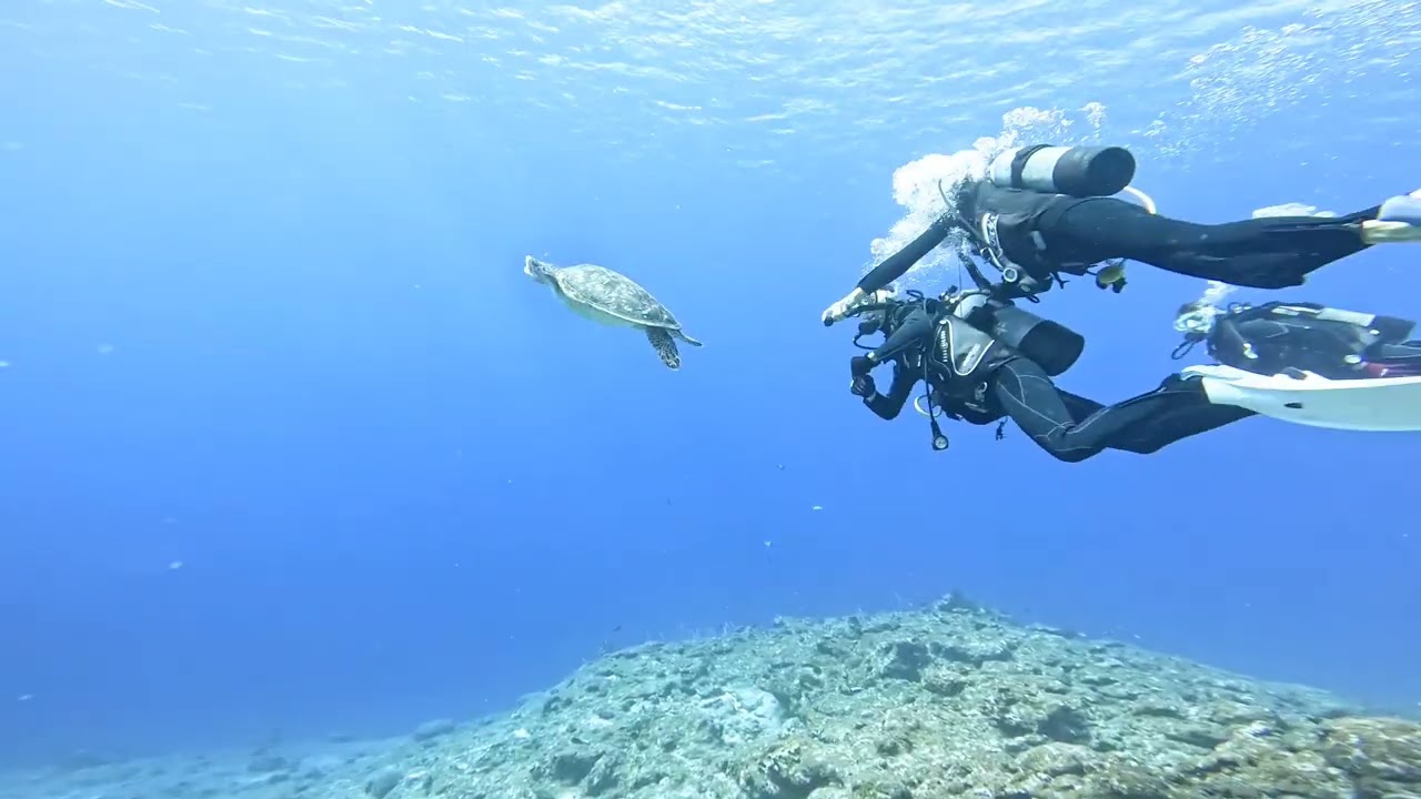 2026.01.14 黒島ダイビング