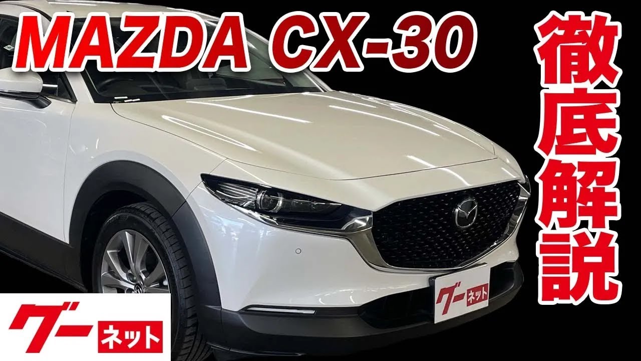 【マツダ CX-30】DM系 XD Lパッケージ グーネット動画カタログ_内装からオプションまで徹底解説
