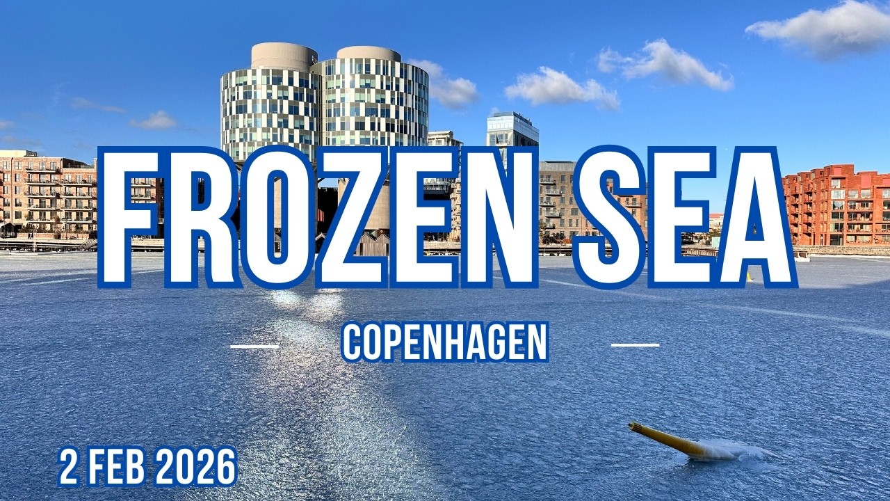 Extreme Cold Hits Copenhagen Even the Sea Has Frozen
