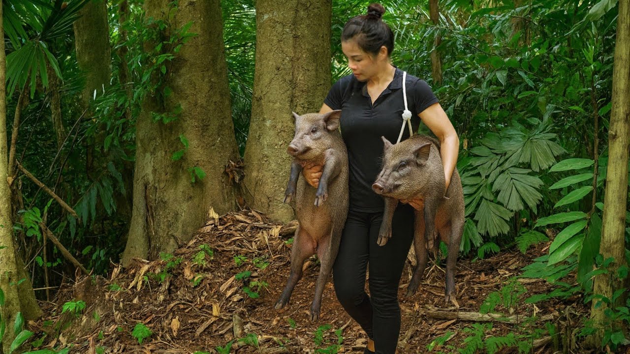 CEO back to wild life, Wild boar trap, lucky day .